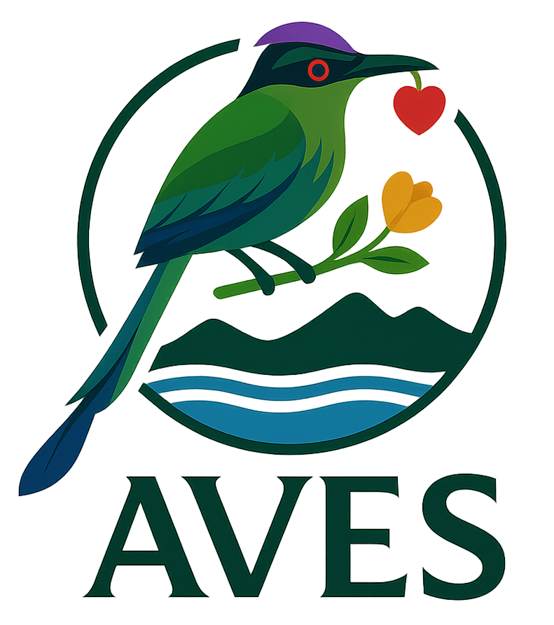 AVES Birdwatching Tours Logo