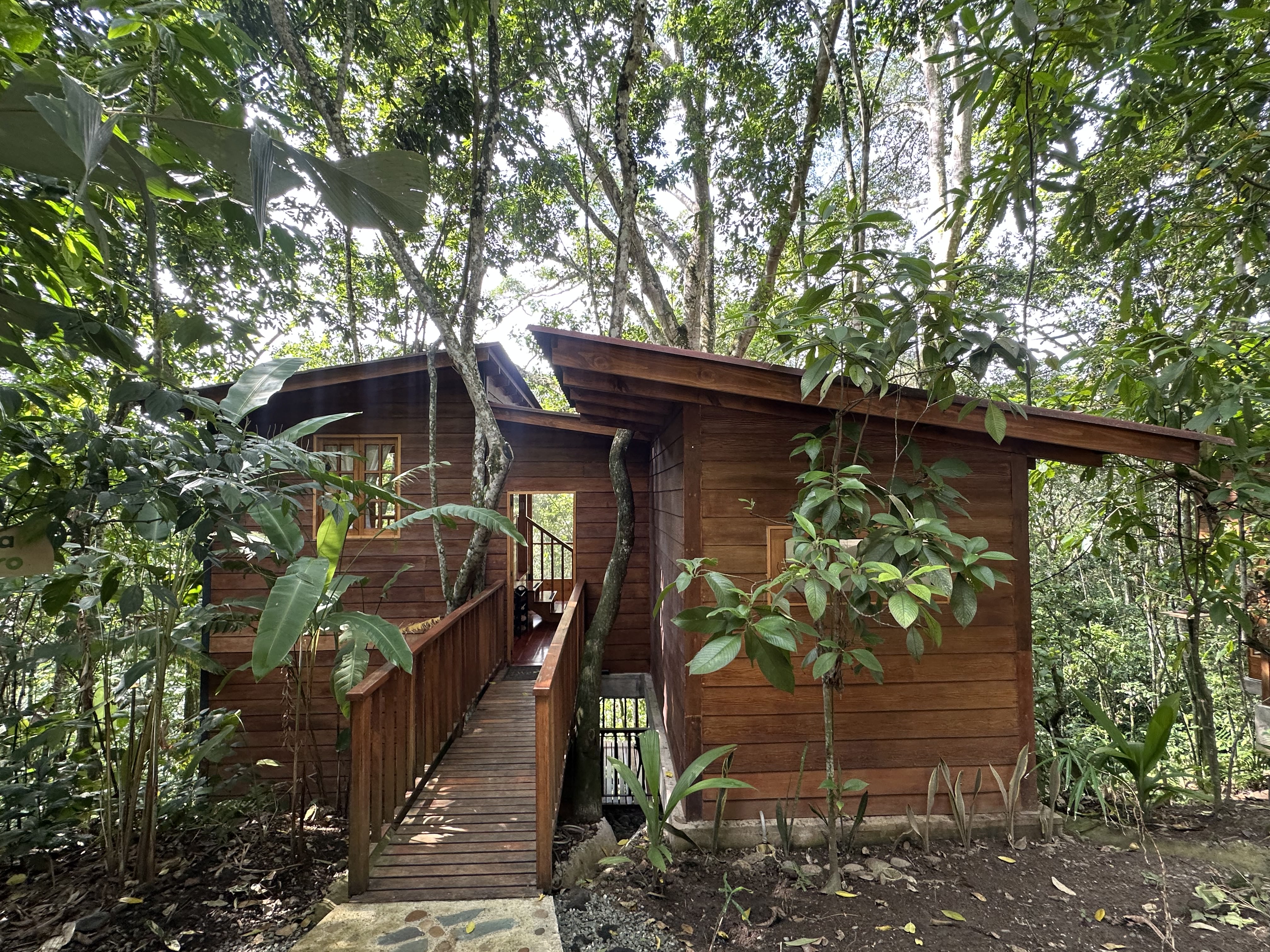 CHEC La Esmeralda reserve eco-lodge nestled in pristine cloud forest near Chinchiná